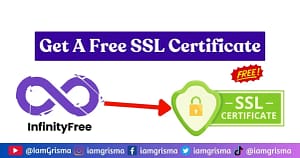 Get A Free Ssl Certificate From Infinityfree